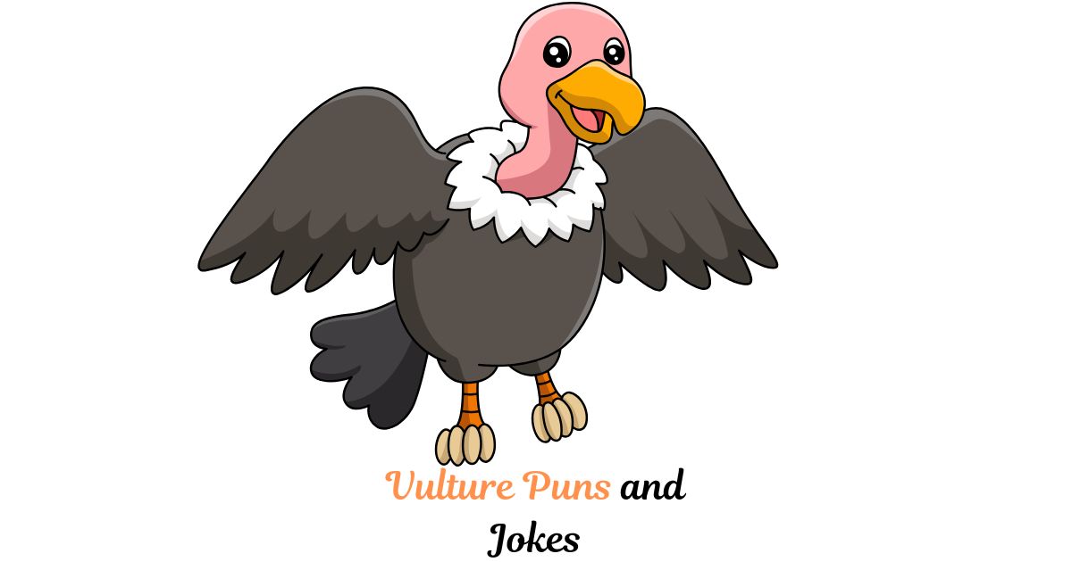 215+ Vulture Puns and Jokes
