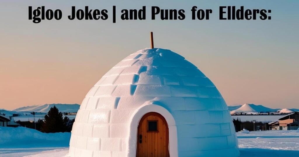 Igloo Jokes and Puns for Elders