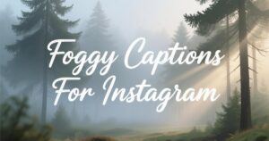 Foggy Captions For Instagram